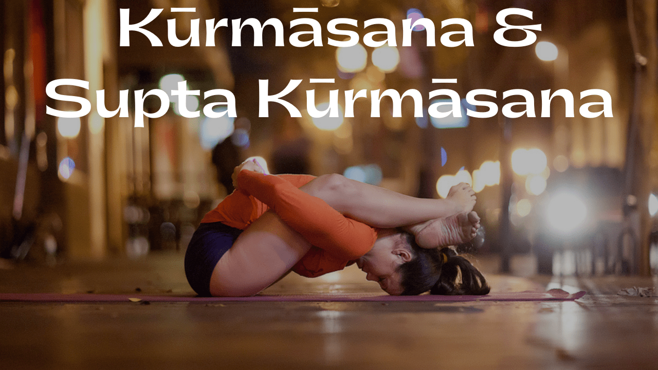kurmasana and supta kurmasana